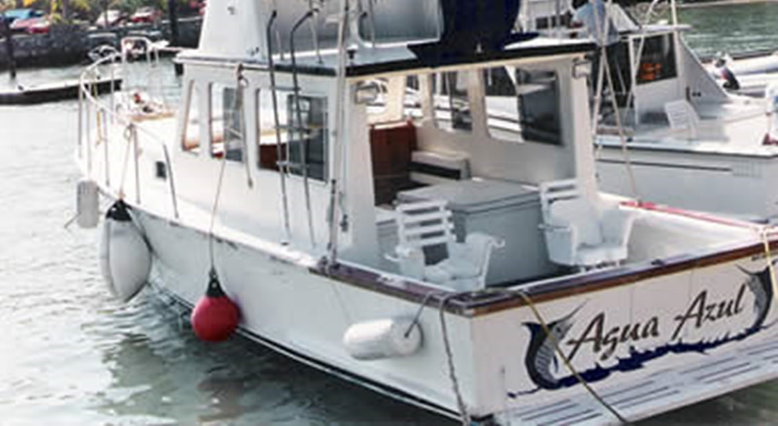 Agua Azul Boat 36Ft Deep Sea Fishing Charters in Ixtapa Zihuatanejo